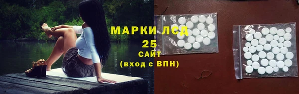 apvp Алзамай