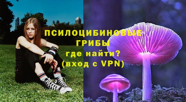 apvp Алзамай