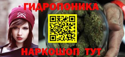 соль ск Бийск