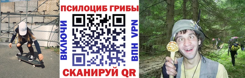 купить наркоту  Гусь-Хрустальный  Галлюциногенные грибы мухоморы 