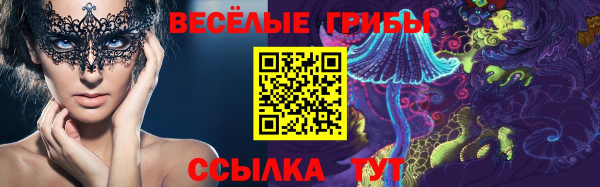 Галлюциногенные грибы GOLDEN TEACHER  Вход с VPN  Гусь-Хрустальный 