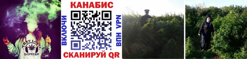 OMG маркетплейс наркошоп Гусь-Хрустальный Каннабис марихуана